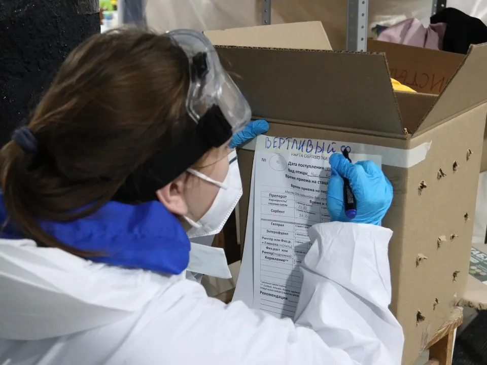 Фото: «Молодая Гвардия Единой России»