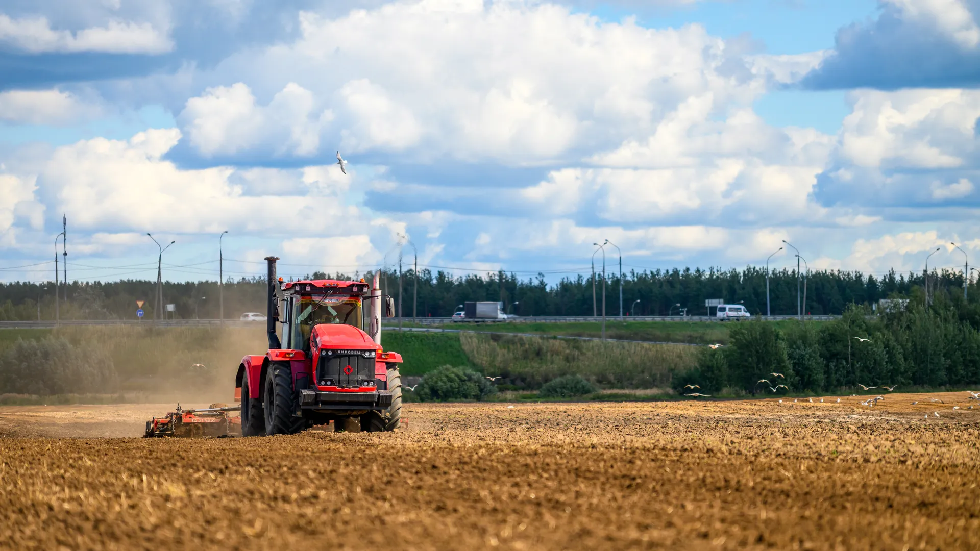 Уборка урожая картофеля в округе Коломна