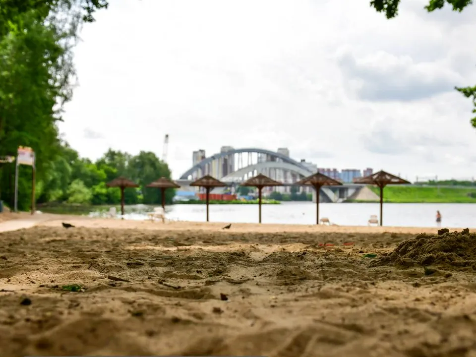 Фото: пресс-служба администрации г.о. Химки