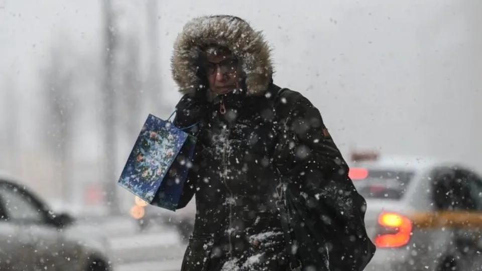 медиасток.рф