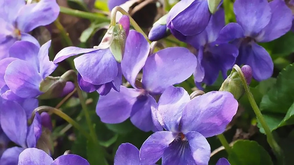 Фото: Минэкологии МО