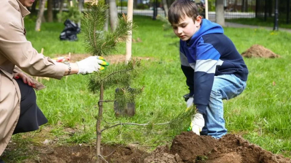 Фото: Раменский медиацентр