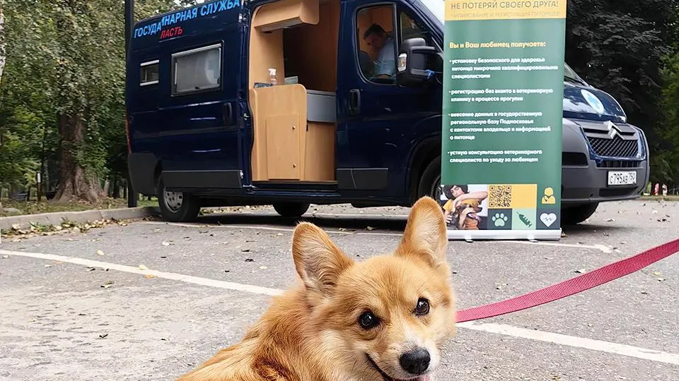 Фото: Министерство сельского хозяйства и продовольствия Московской области