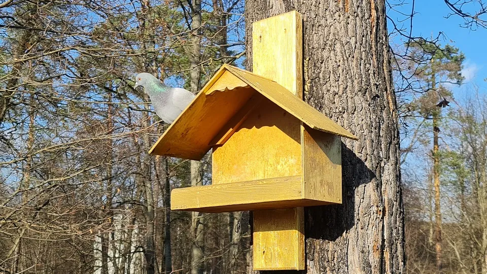 Фото: REGIONS/Александр Дрожжин