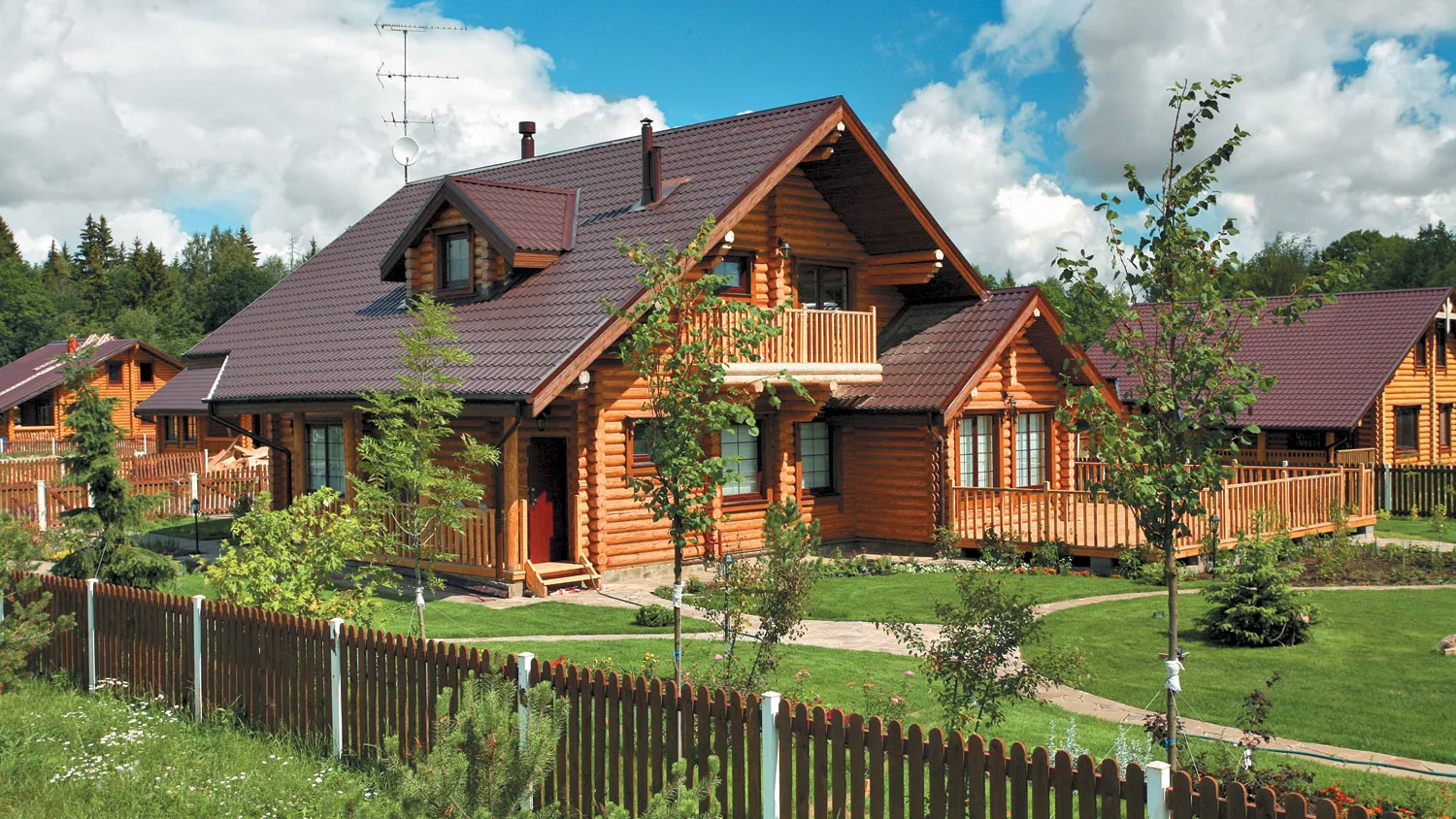 Фото: freepik.com