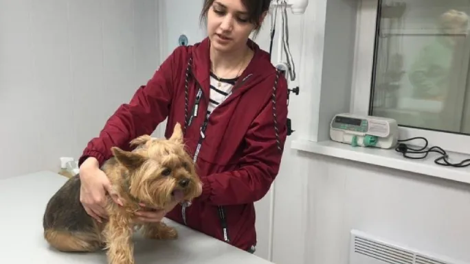 Фото: Минсельхозпрод МО