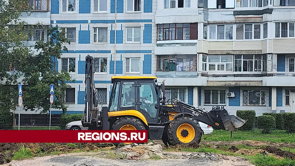 Фото: Александр Степушкин