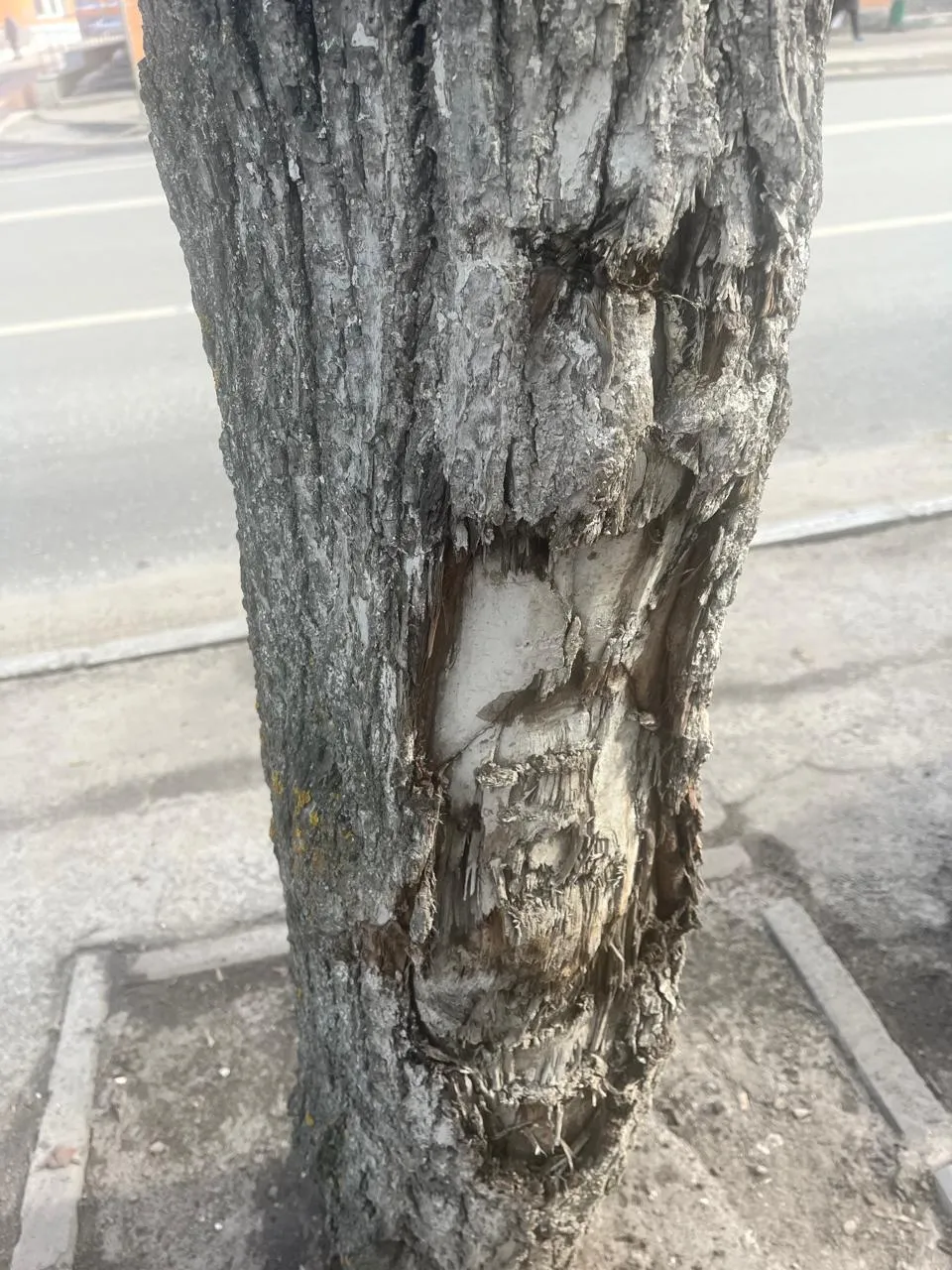 Фото: Администрация г.о. Егорьевск