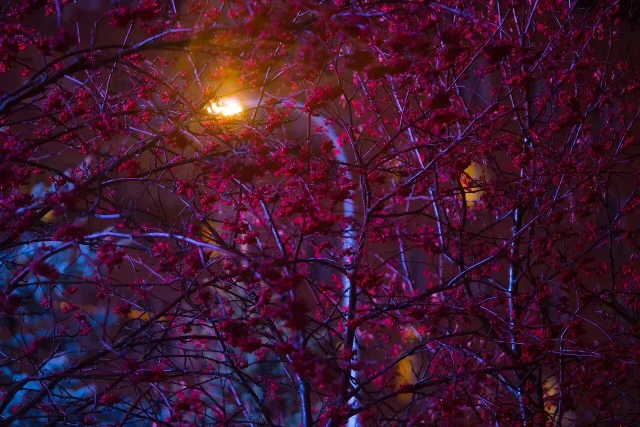 Фото: Министерство благоустройства Московской области