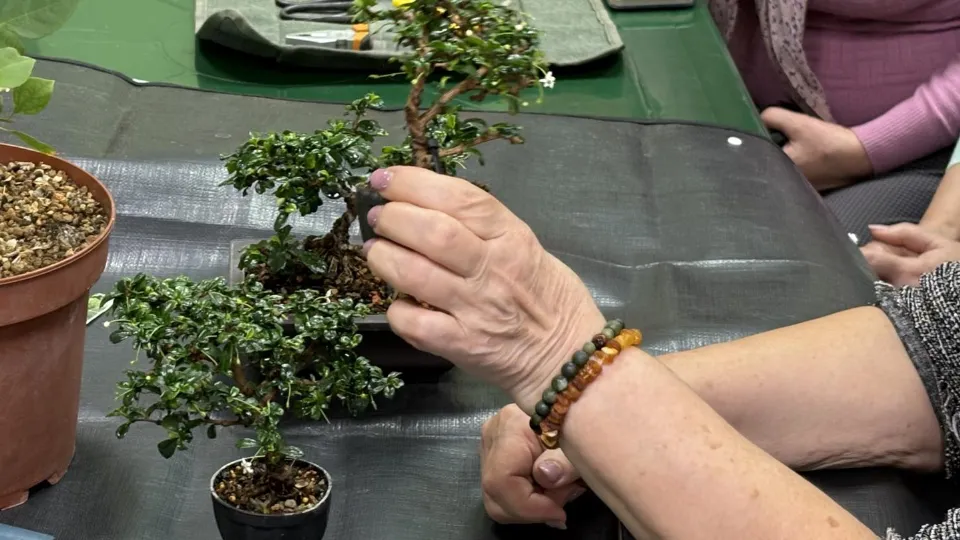 Фото: МедиаБанк Подмосковья/Анна Нестерова