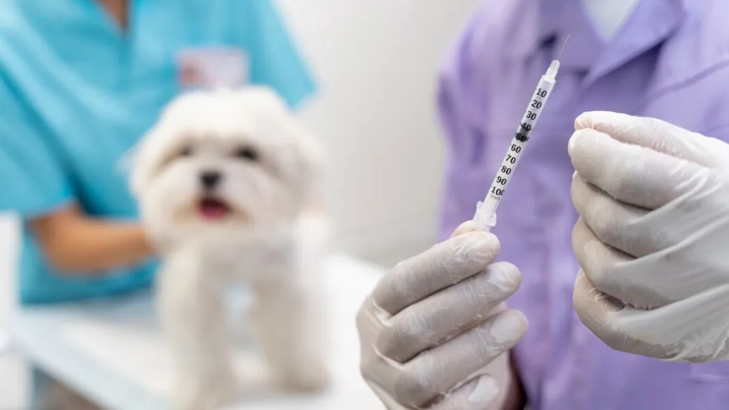 Источник: ru.freepik.com