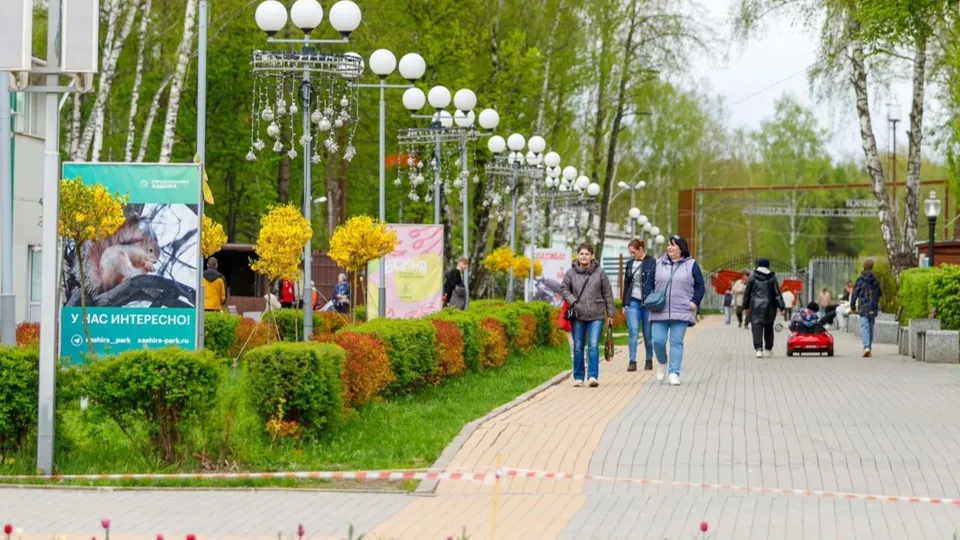 Фото: пресс-служба администрации г.о. Кашира