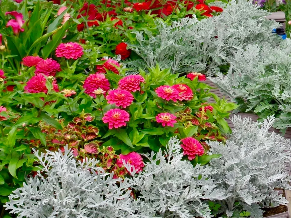 Фото: ООО «Агрофирма Партнер»