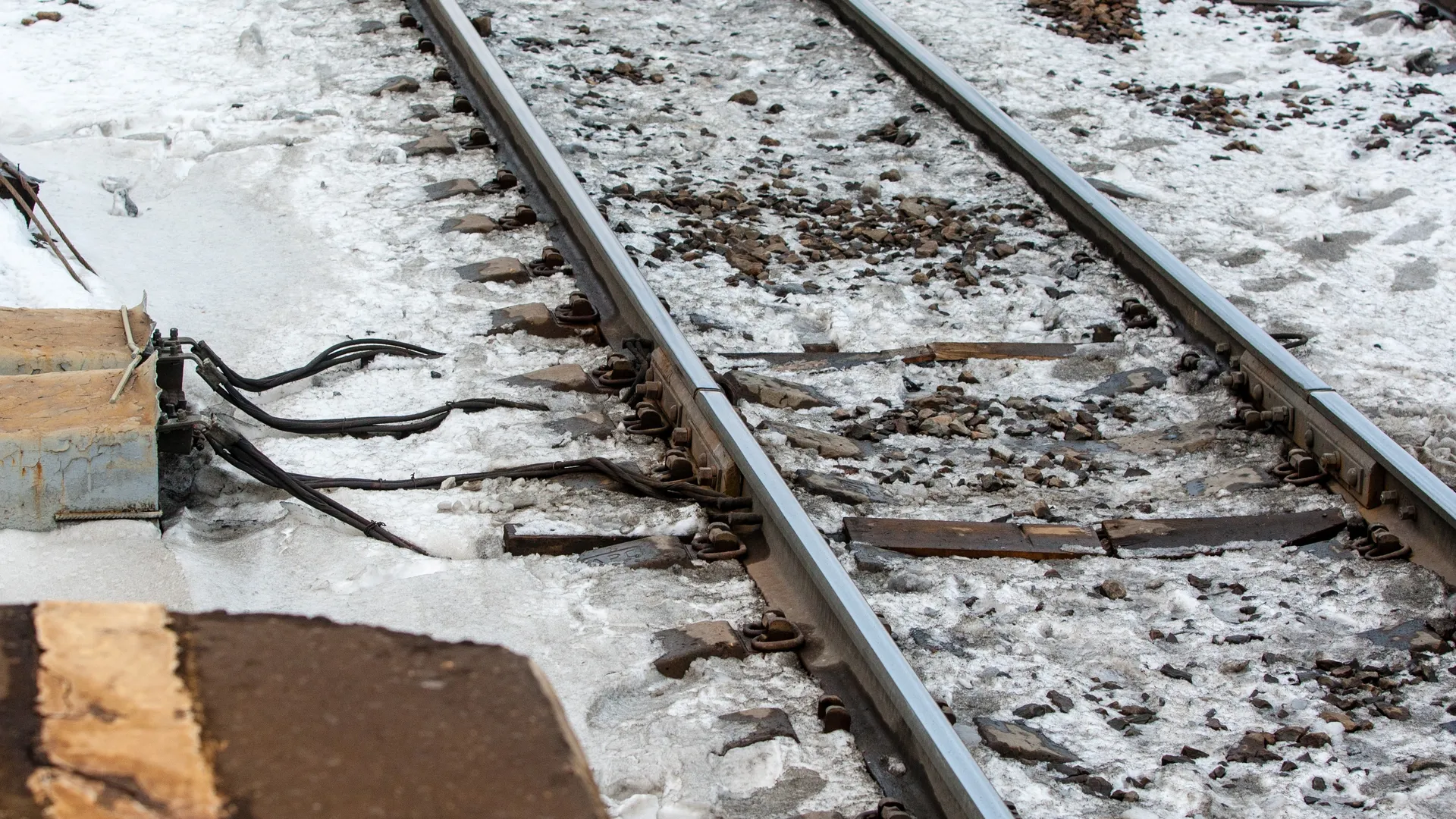 Фото: пресс-служба администрации г.о. Кашира