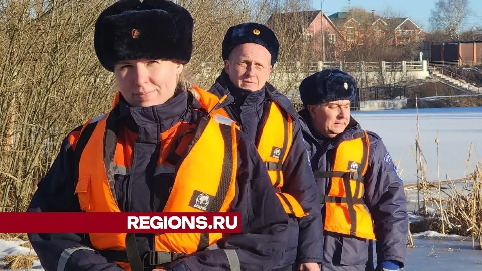 Фото: Хавива Фонина