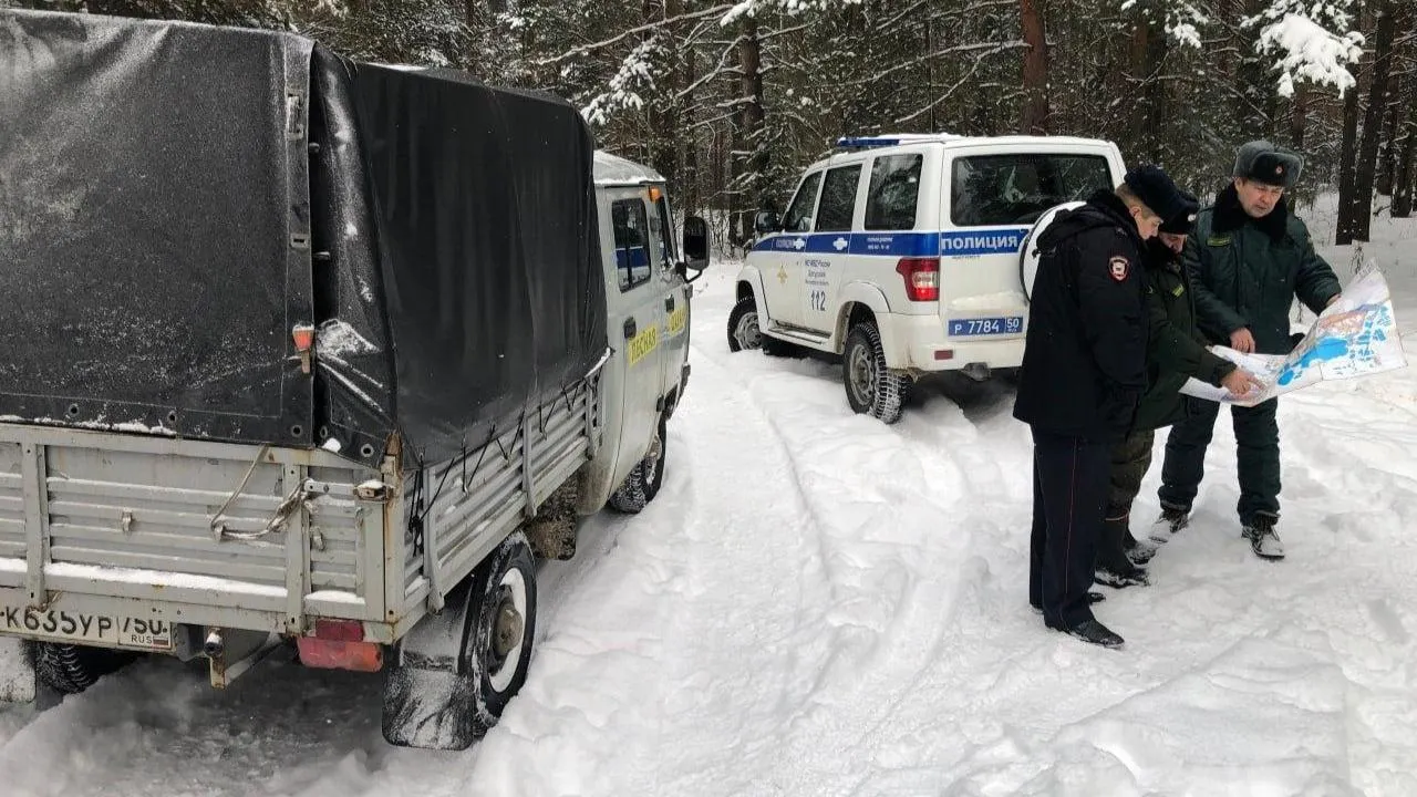 В Подмосковье за нарушение лесного законодательства за год выписали штрафы на 135 млн рублей