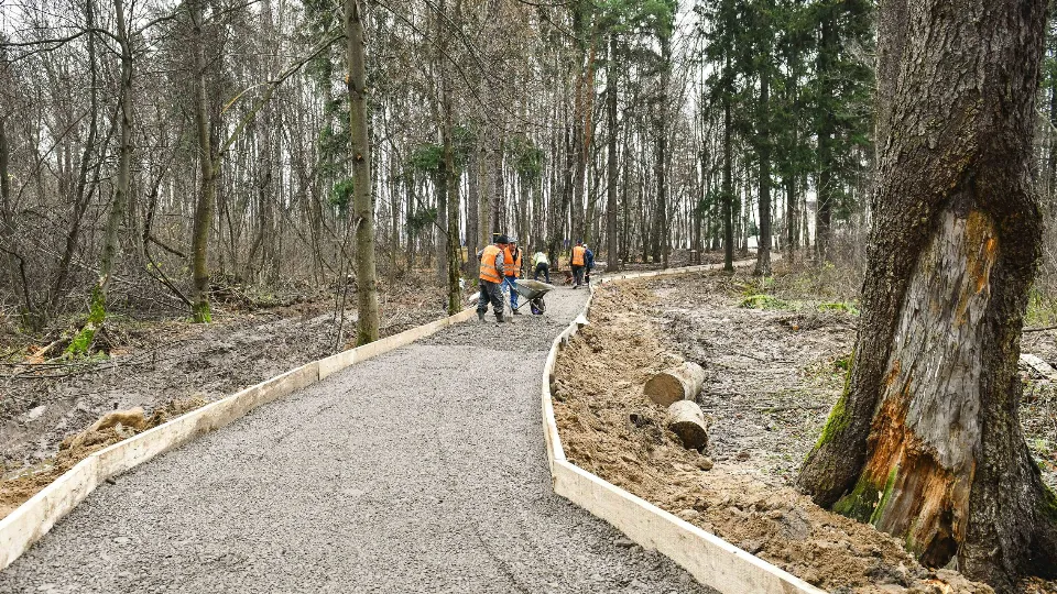 Фото: пресс-служба администрации г.о. Химки