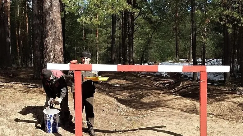 Фото:  Пресс-служба Комитета лесного хозяйства Московской области