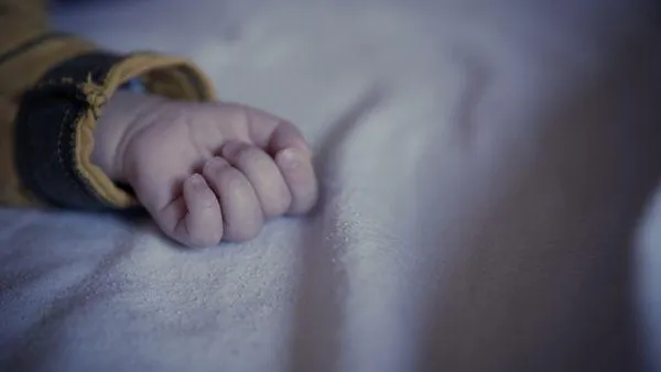 «Невские новости»