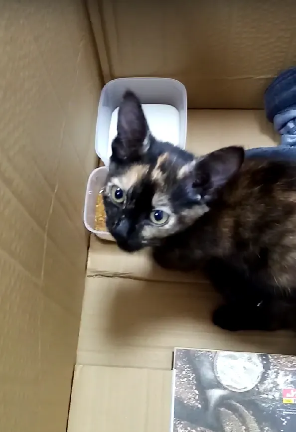 Фото: Подслушано на Глебовке (новая) / ВКонтакте