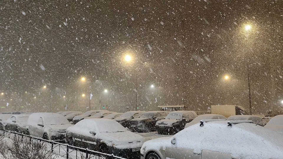 Фото: МедиаБанк Подмосковья/Евгения Гавриленко