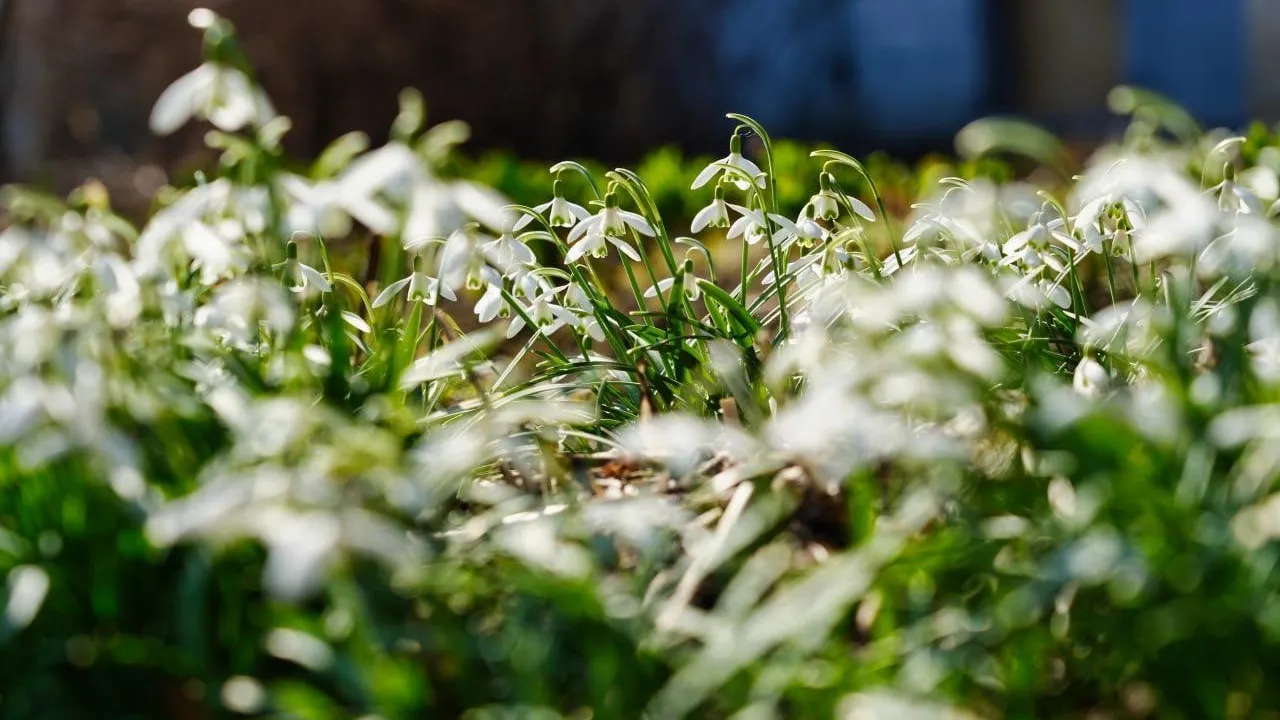 Дмитрий Зайчиков