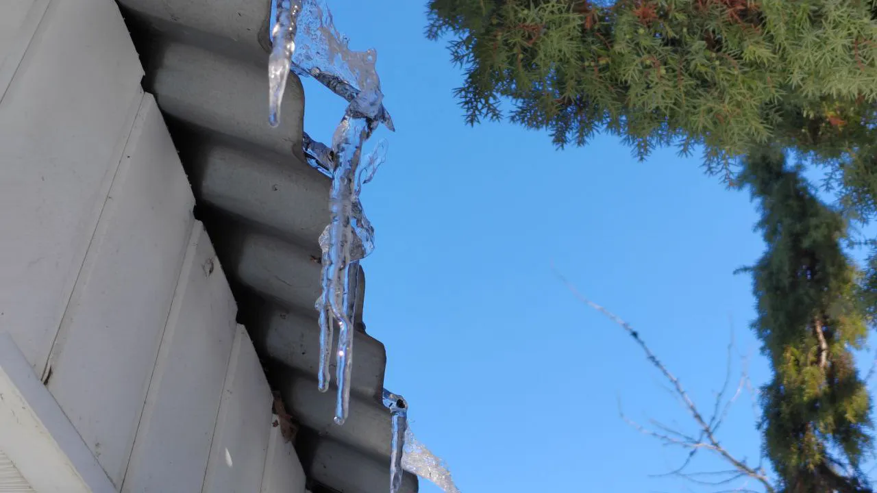 REGIONS/Евгений Мазепов