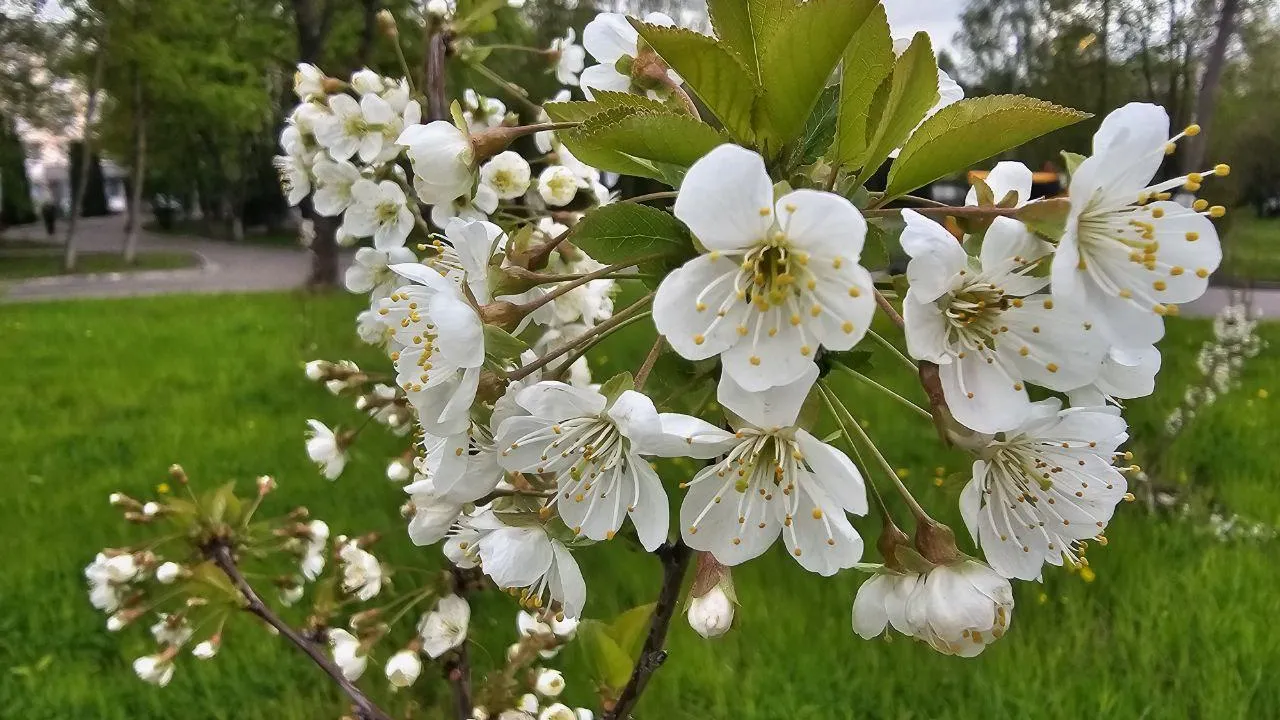 Фото: ГБУЗ МО «Видновский перинатальный центр»