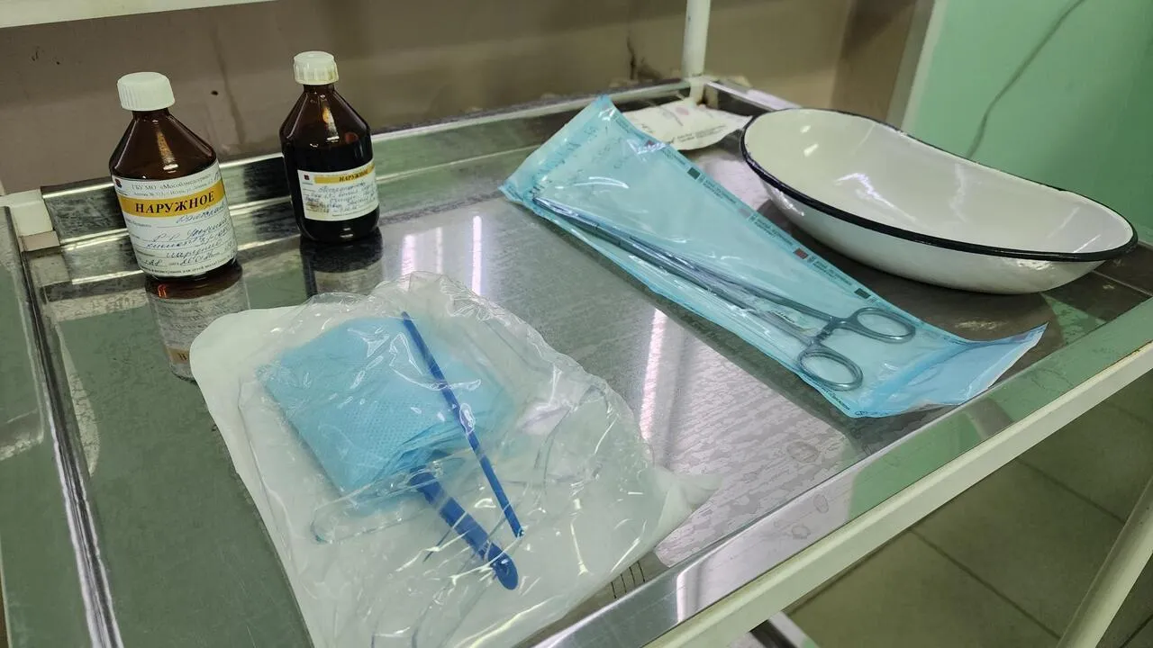 REGIONS/Валерия Тингаева