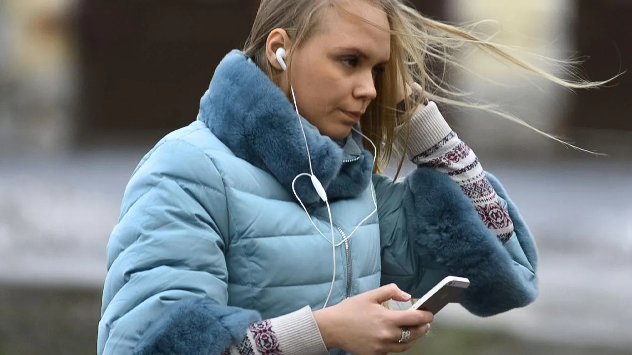 Минусовая температура, снег и сильный ветер ожидаются в Москве и Московской области в выходные ночью