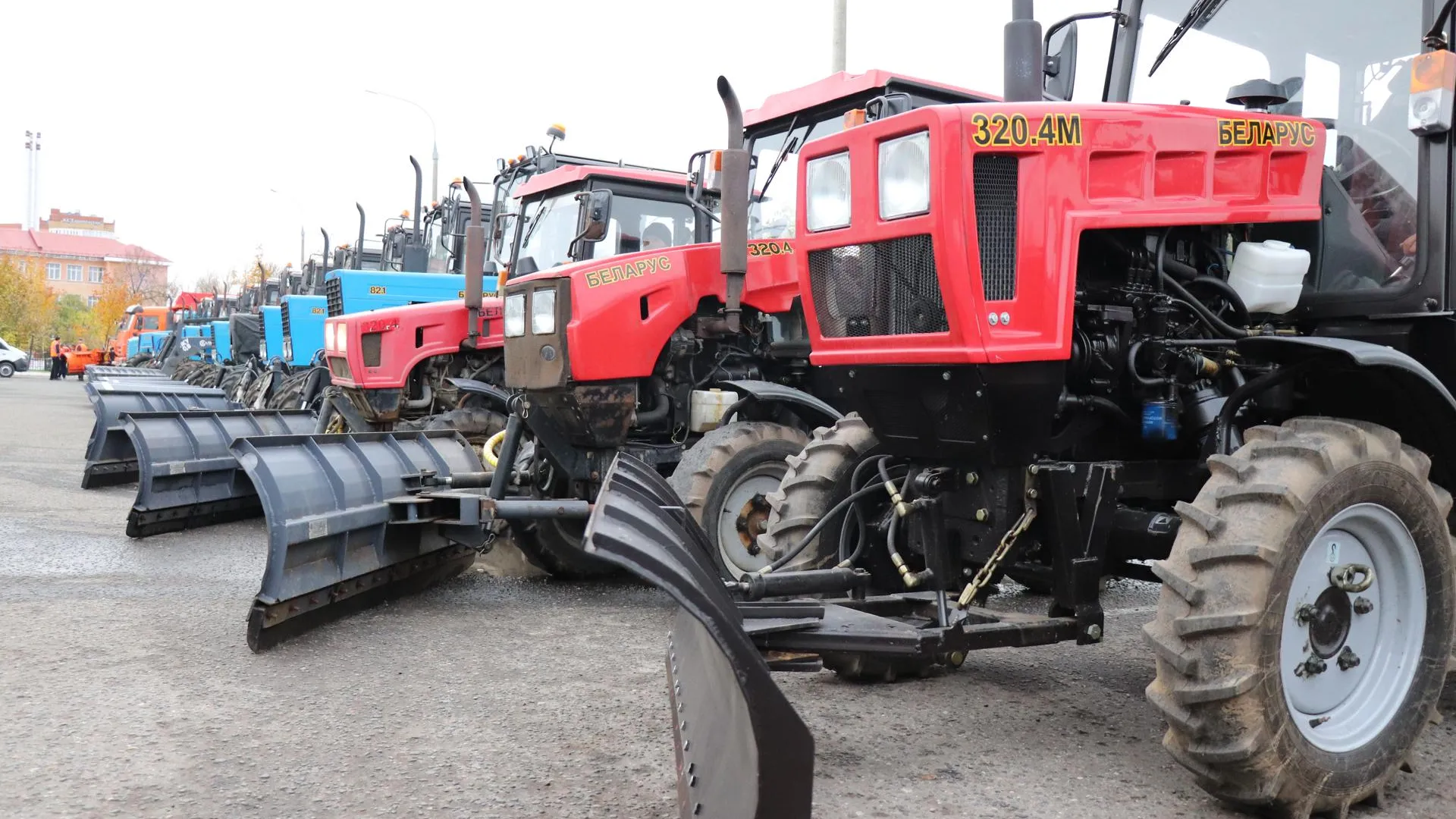 Фото: Василий Тремасов