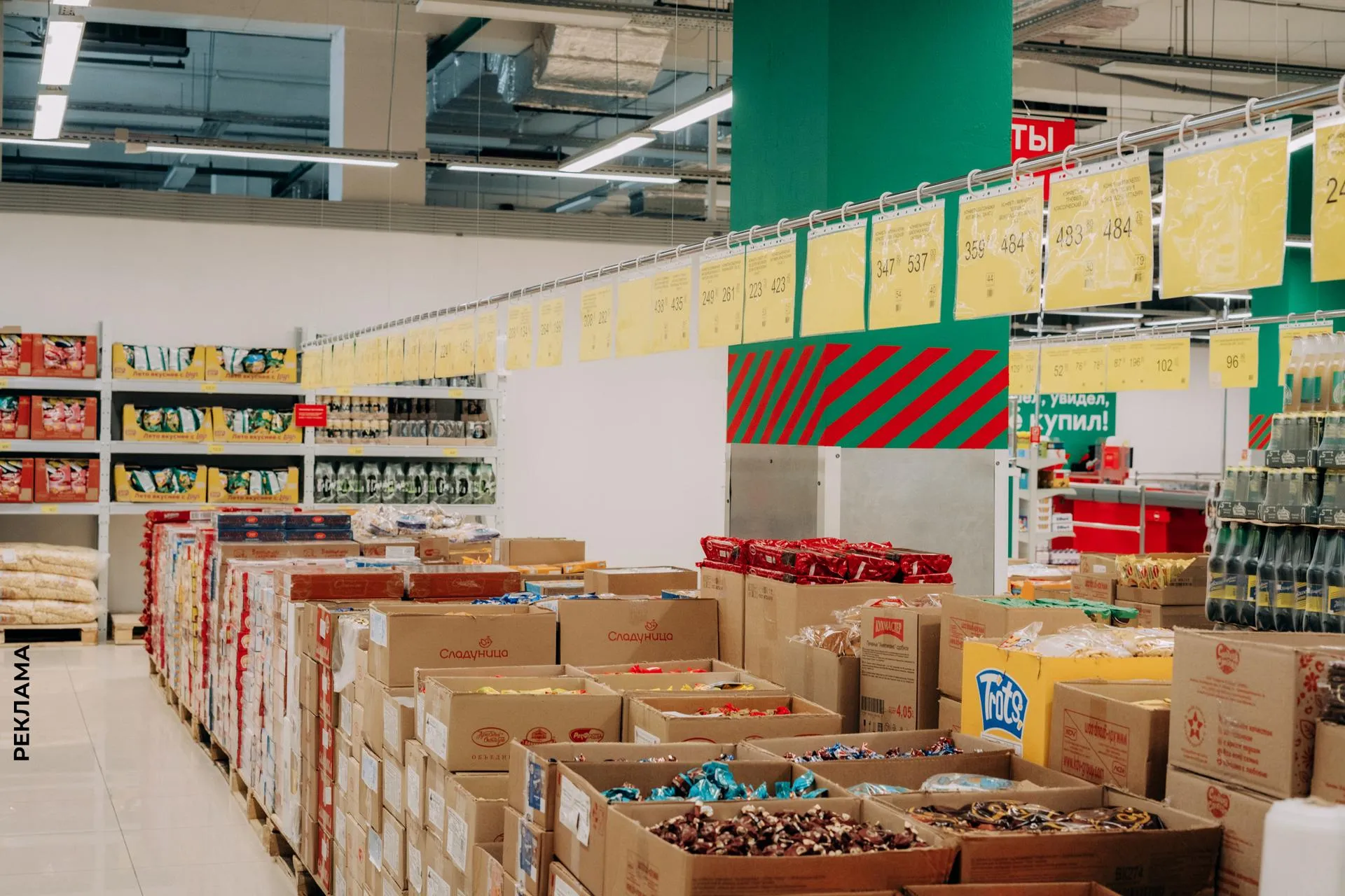 Фото: Лилия Белоснежная