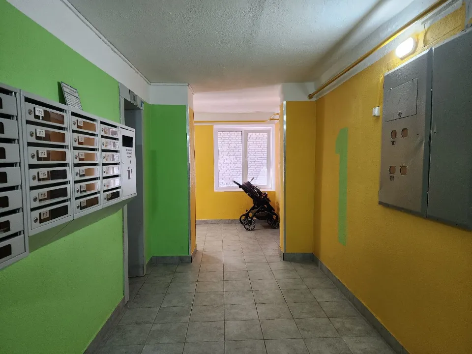 Фото: REGIONS/Иван Петрушин