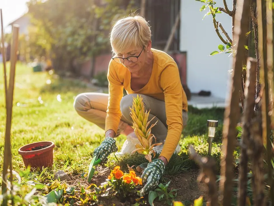 Фото: istockphoto.com/LittleBee80