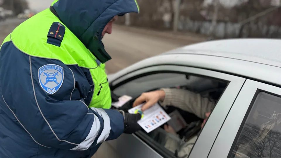 Фото: Госавтоинспекция МУ МВД России «Щелковское»