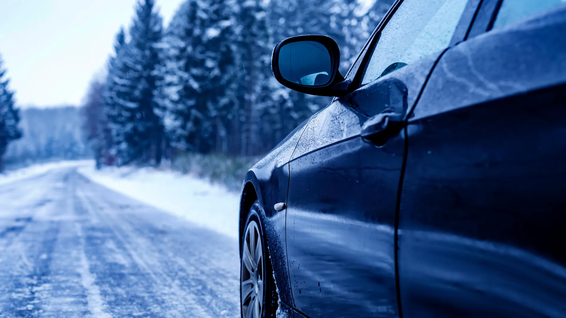 Фото: freepik.com