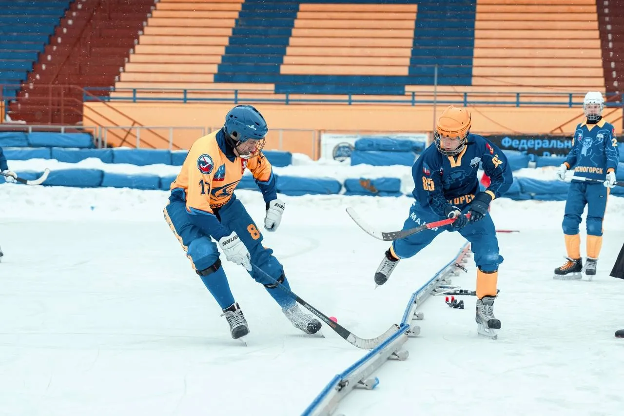Фото: пресс-служба администрации г.о. Красногорск&nbsp;