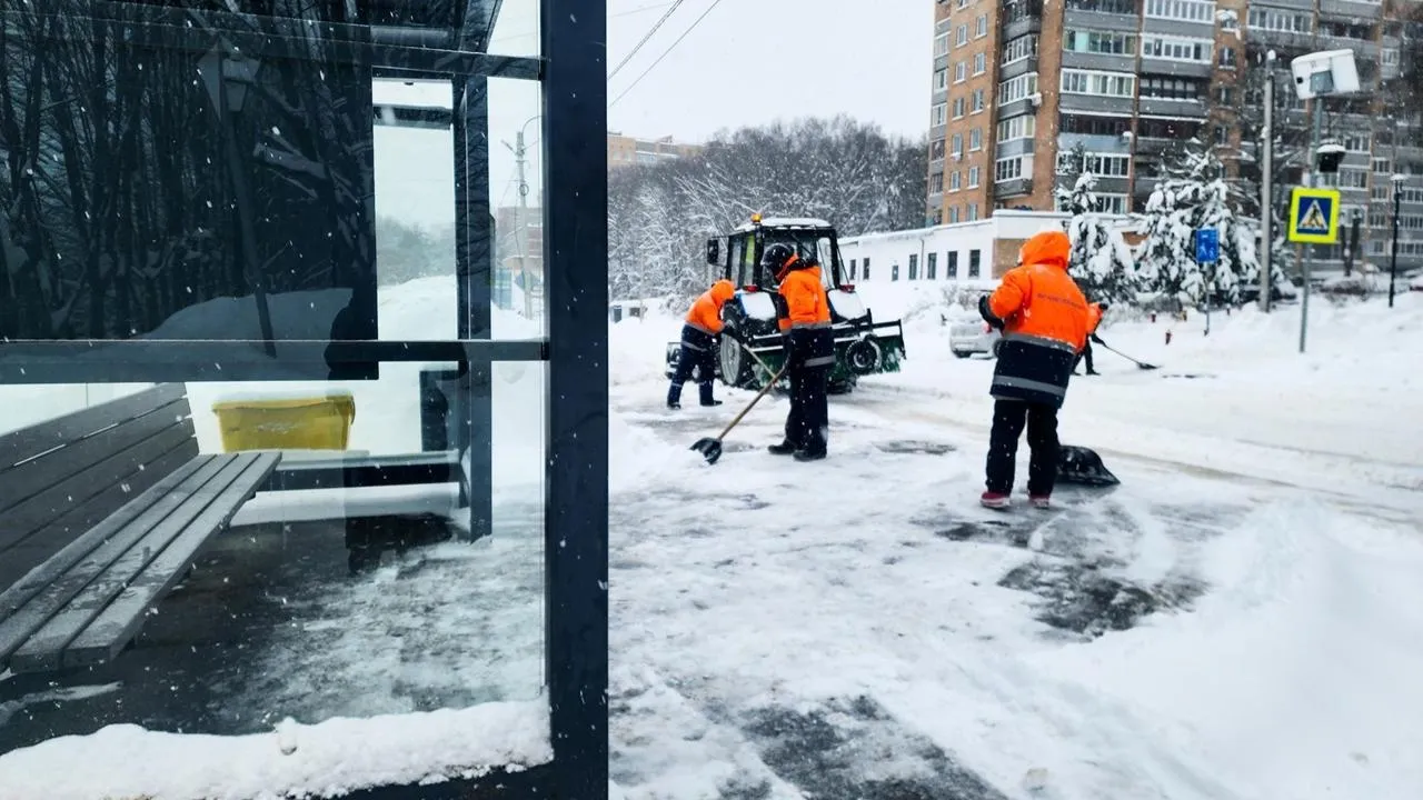 REGIONS/Мария Панина