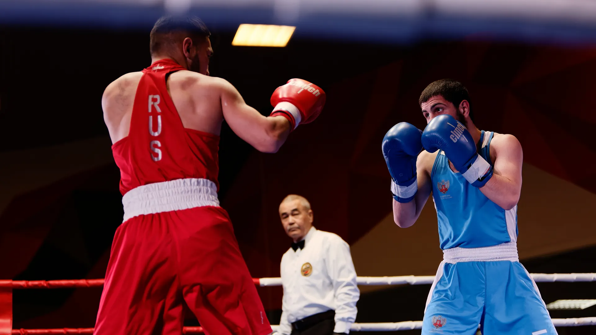 Турнир по боксу на призы заслуженного тренера Виктора Агеева в Балашихе