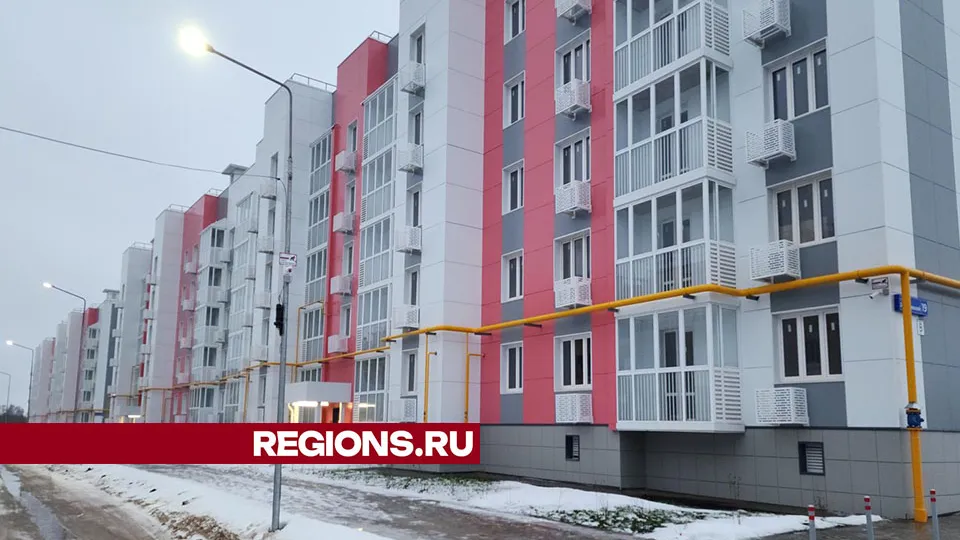 Фото: Дмитрий Беденко