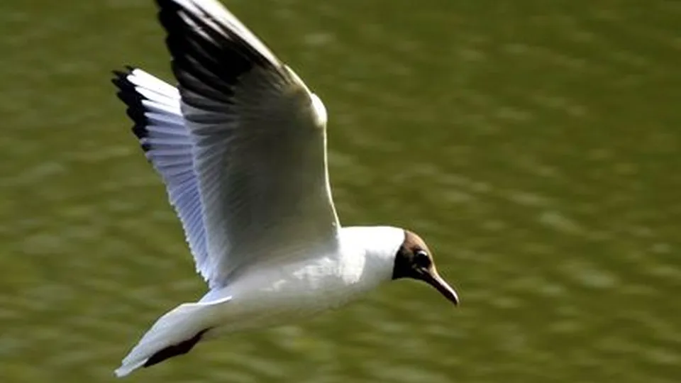 Фото: медиасток.рф