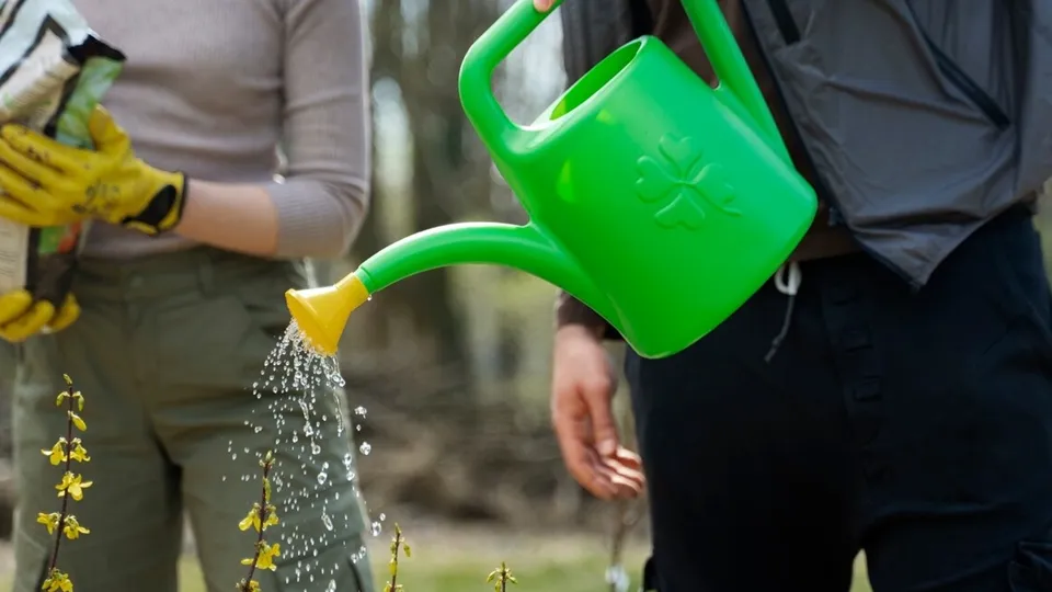 Фото: freepik.com