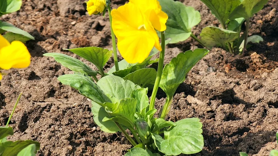 Фото: МедиаБанк Подмосковья/Мария Панина