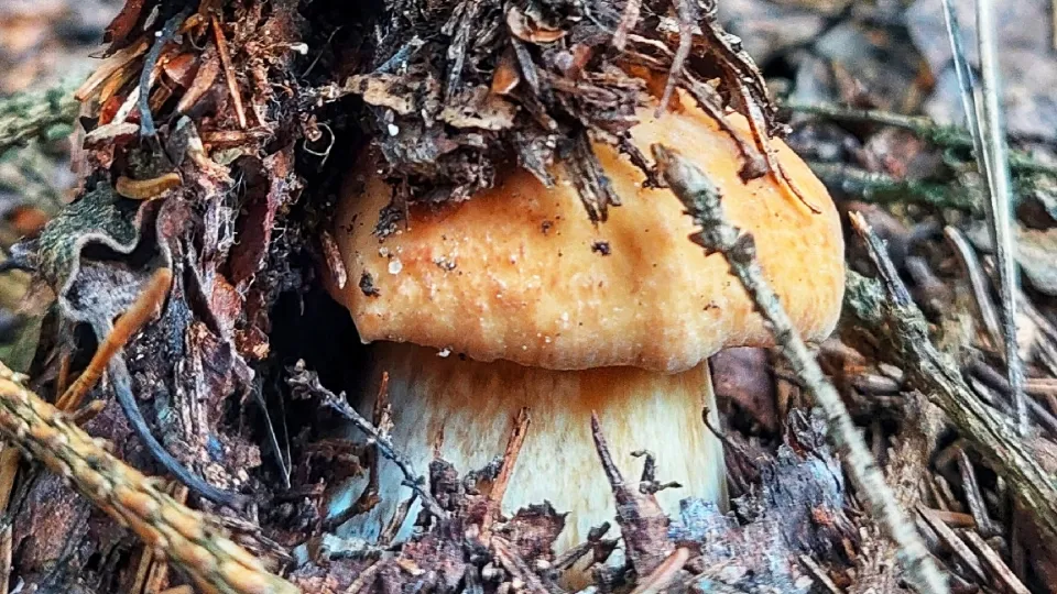 Фото: Василий Потапов