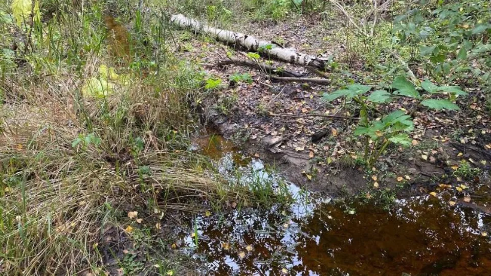 Фото: Минэкологии МО