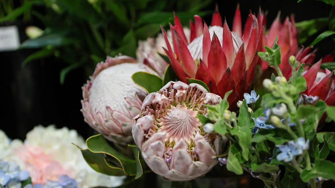 REGIONS/Роман Малышенко