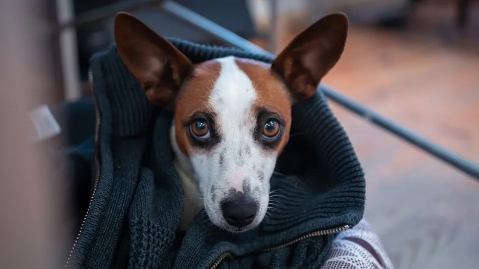 Фото: freepik.com