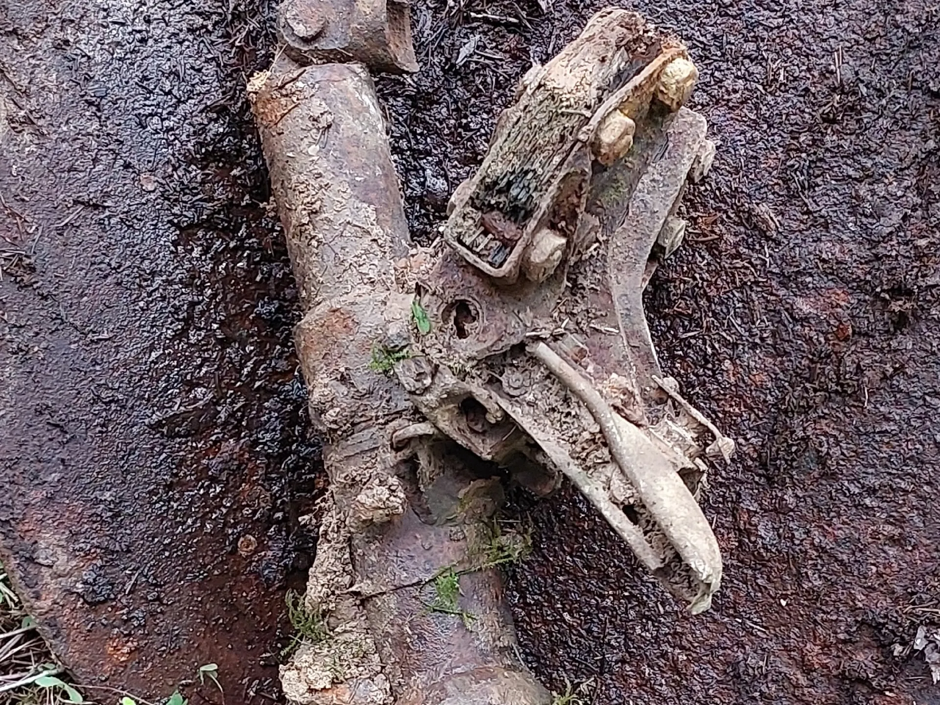 Фото: Поисковый отряд «БУМЕРАНГ - ДОСААФ» Наро-Фоминск&nbsp;