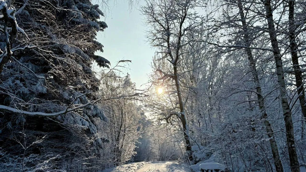 Марина Алифангва