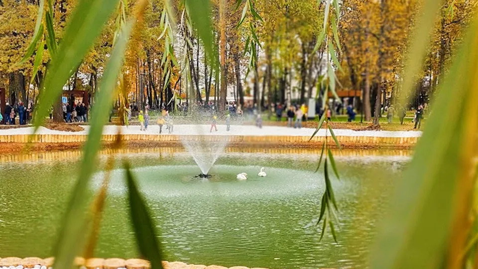 Фото: REGIONS/Алексей Селиверстов